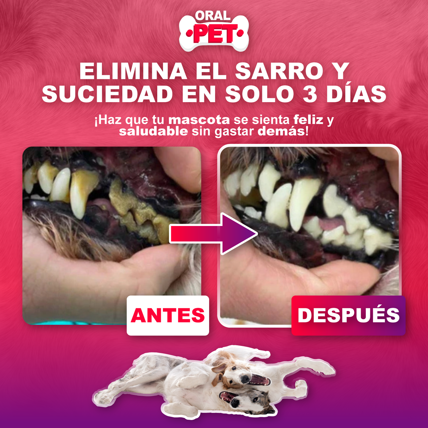 Oral Pet Spray Bucal Limpiador para mascotas